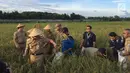 Gubernur DKI Jakarta, Anies Baswedan memasukkan padi yang ke sebuah karung saat memanen di kawasan Cakung, Jakarta Timur, Selasa (23/1).  Anies terlihat sangat terampil menggunakan arit untuk memotong padi. (Liputan6.com/Devira Prastiwi)