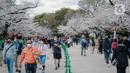 Para pengunjung menikmati sakura mekar di Taman Ueno, Tokyo, Sabtu (25/3/2023). Memasuki musim semi di Jepang, warga hingga turis mancanegara berbondong-bondong menikmati keindahan dari bunga sakura yang mekar. (Liputan6.com/Faizal Fanani)