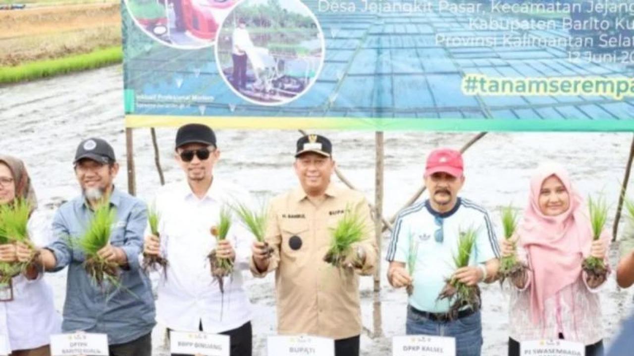 Optimalisasi Lahan Rawa Batola Dorong Produktivitas Pangan Nasional, Targetkan Panen Melebihi Tahun Lalu