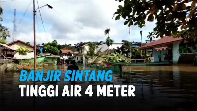 Banjir masih merendam kawasan Sintang, Kalimantan Barat. Puluhan desa terendam, dan akibatnya permukiman warga terdampak. Hingga kini air mulai surut, dari 6 menjadi 4 meter.