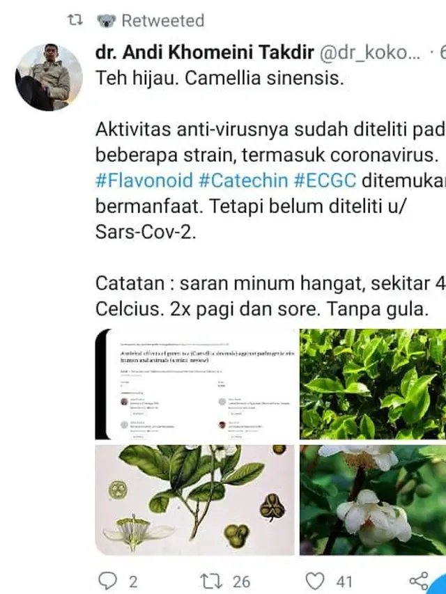 Teh Hijau