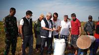 Direktur SDM dan Umum Perum BULOG, turun langsung ke Desa Bengkel, Tabanan, Bali, untuk memastikan proses penyerapan berjalan dengan baik.