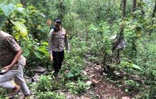 Polisi Selidiki Penemuan Kerangka Manusia di Hutan Sawoo Ponorogo, Identitas Belum Terungkap