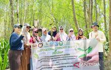 Kolaborasi ULM dan ISAT University Filipina Perkuat Pelestarian Ekosistem Mangrove
