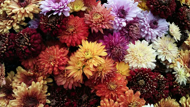 Berikut Kepribadian Penyuka Parfum Woody Floral yang Pancarkan Aura Elegan dan Wangi yang Timeless
