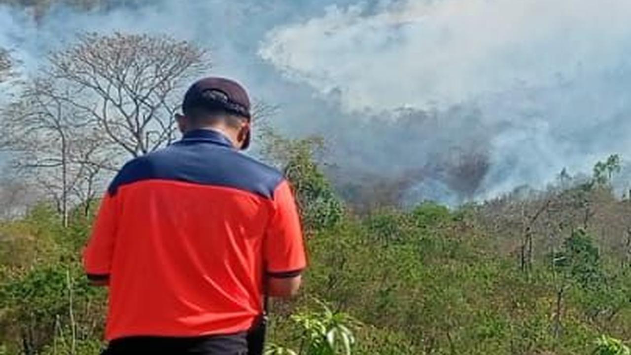 Ia juga menyampaikan bahwa angin saat ini masih kencang dan mayoritas yang terbakar adalah rumput-rumput kering dan ada juga pepohonan yang kering.<br>