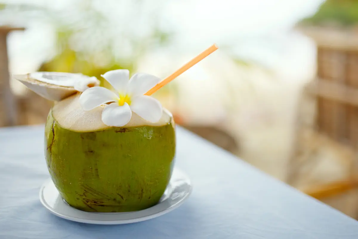 air kelapa-kezo
