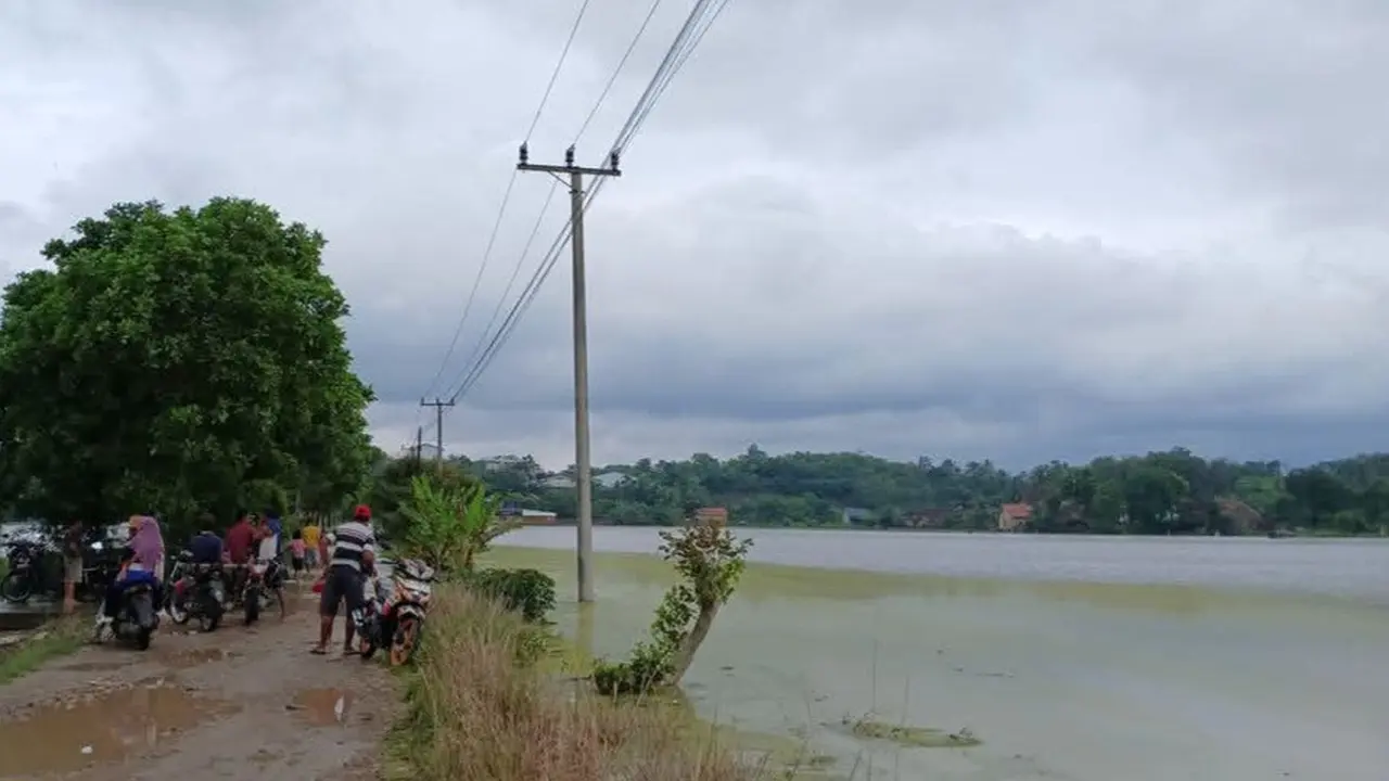 2.429,6 hektare sawah milik petani di Lampung Timur kini terancam gagal tanam. Foto : (Istimewa).