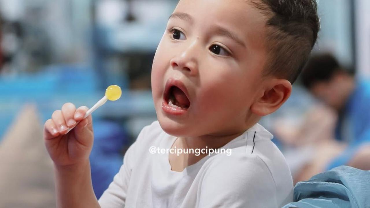 5 Potret Cipung dengan Lolipop di Tangan, Ekspresi Lucunya yang Sukses Curi Perhatian