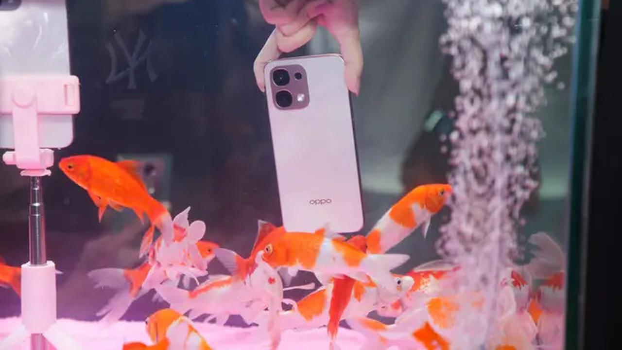 Ini Spesifikasi Beserta Harga Oppo A6 Pro 4G dan Oppo A6 Pro 5G di Indonesia