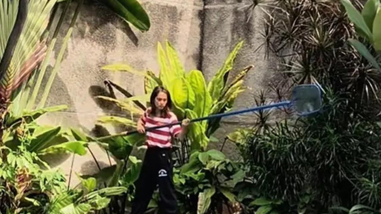 6 Potret Wajah Natural Cinta Laura Bersih-Bersih Rumahnya saat Ditinggal Mudik ART, Kamar Kucingnya Curi Perhatian