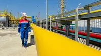 PGN Siap Jalankan Kebijakan Harga Gas Baru, Pasokan Aman