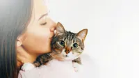 Terjawab, Alasan Kucing Takut dengan Mentimun