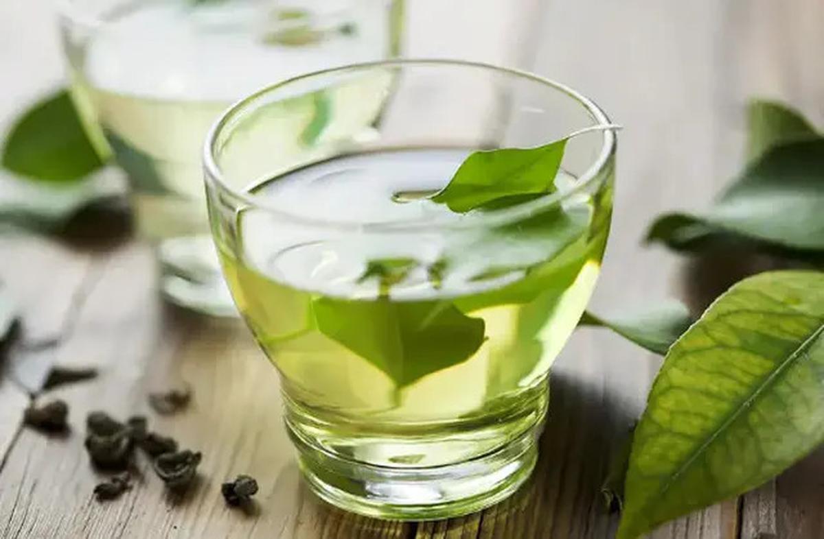 Cara Merebus Daun Keji Beling, Tanaman Liar yang Ampuh Redakan Batu Ginjal hingga Diabetes