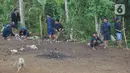 Masyarakat adat Suku baduy melakukan ritual rangkaian tradisi adat Ngaseuk di kampung Karangkerit, desa Bojong Menteng, Banten, Senin (1/11/2021). Tradisi adat Ngaseuk merupakan musim tanam untuk suku Baduy yang nanti hasil panen tersebut untuk upeti pemerintah daerah. (Liputan6.com/Herman Zakharia)