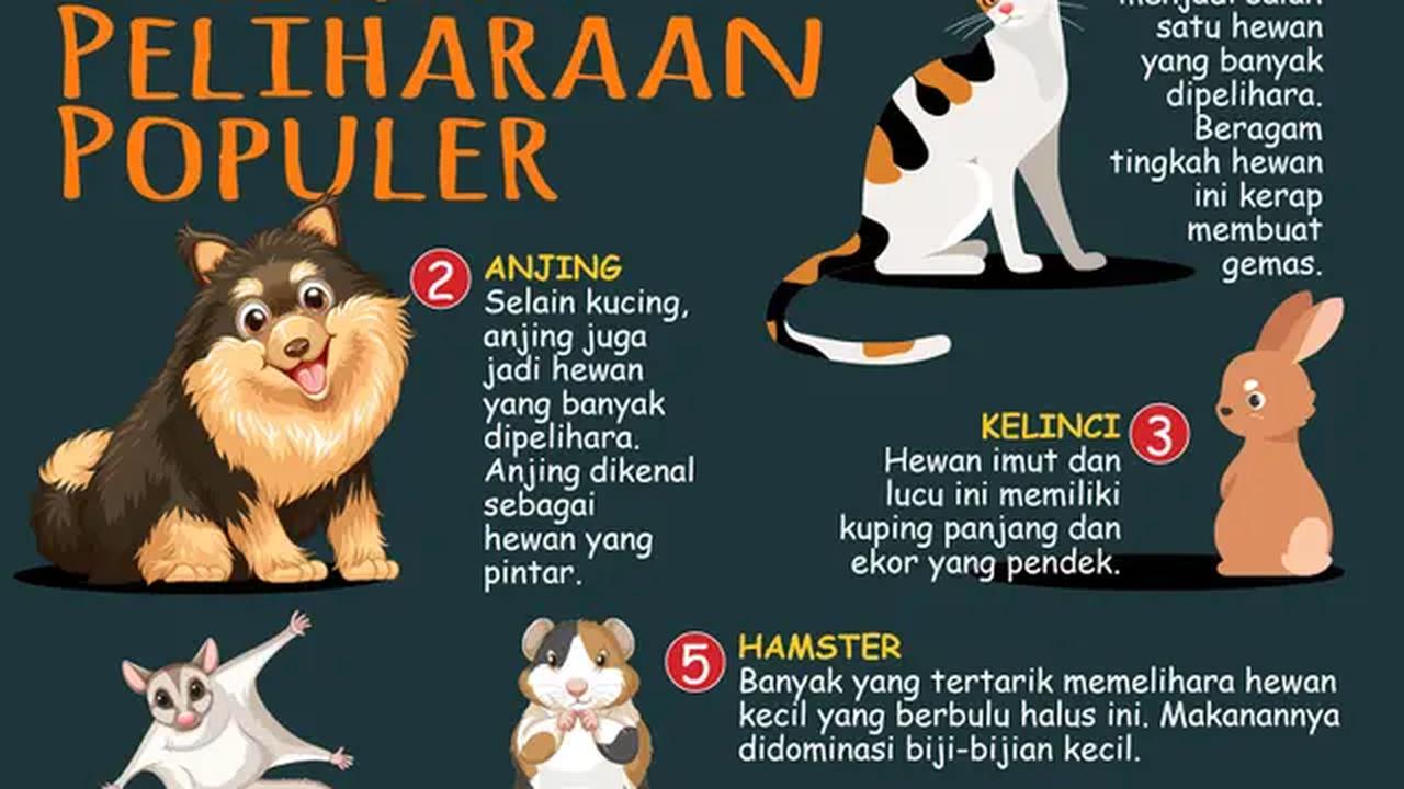Infografis 6 Hewan Peliharaan Populer (Liputan6.com/Abdillah)