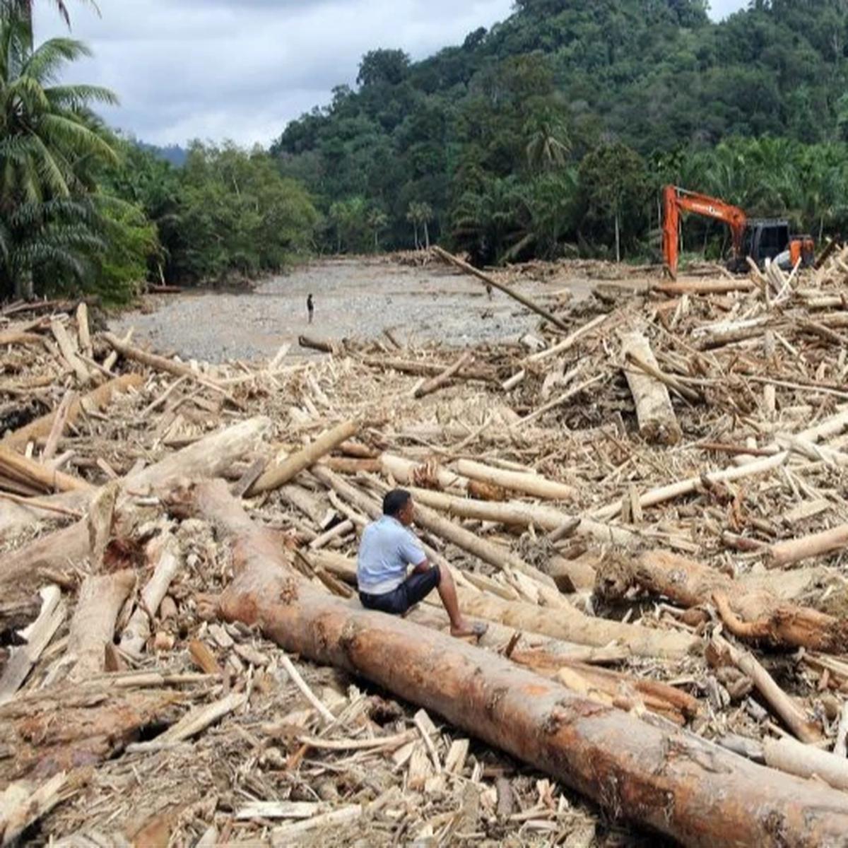 Kayu gelondongan besar terbawa arus banjir di Sumatera
