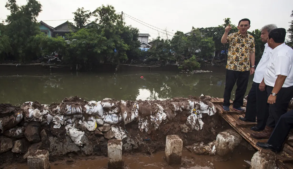 Gubernur DKI Jakarta Basuki Tjahaja Purnama terlihat memberikan instruksi saat meninjau pembangunan tanggul Kali Sunter, Kelapa Gading, Jakarta Utara, Kamis (12/2/2015). (Antara Foto/Sigid Kurniawan)