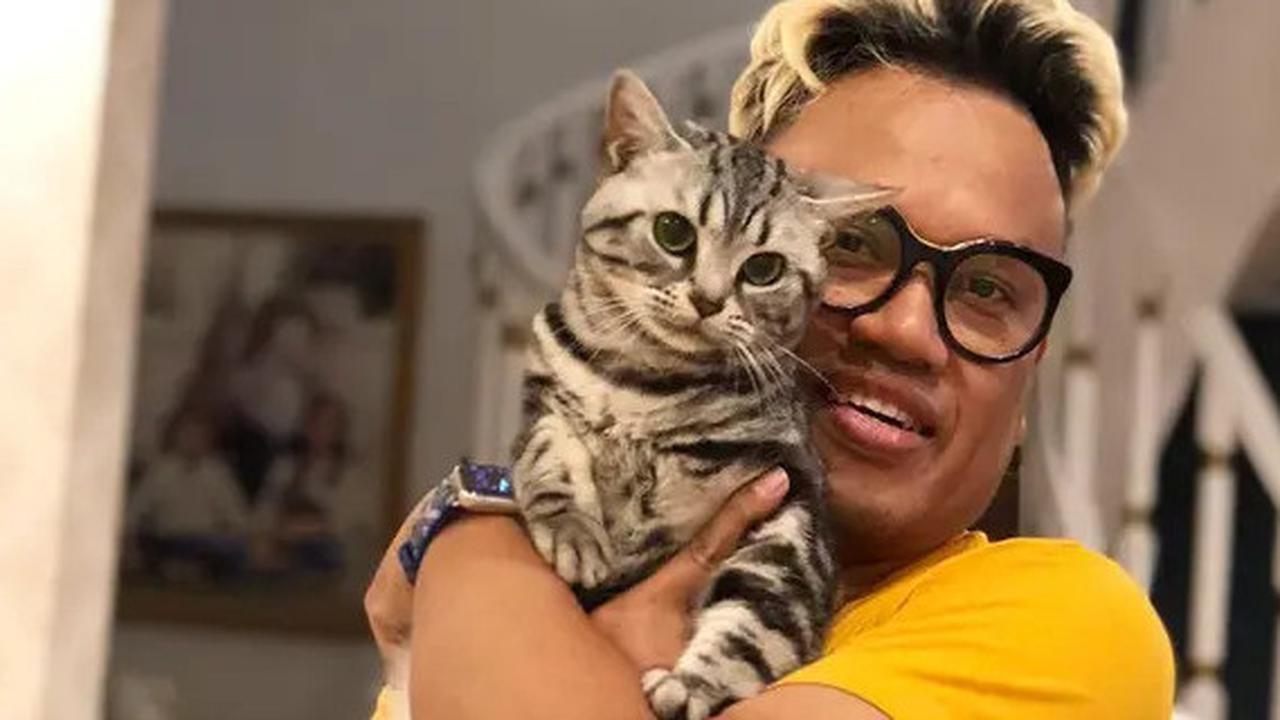 VIDEO: Uya Kuya Kembali Bahagia, Sejumlah Kucing Sudah Pulang Usai Rumahnya Dijarah