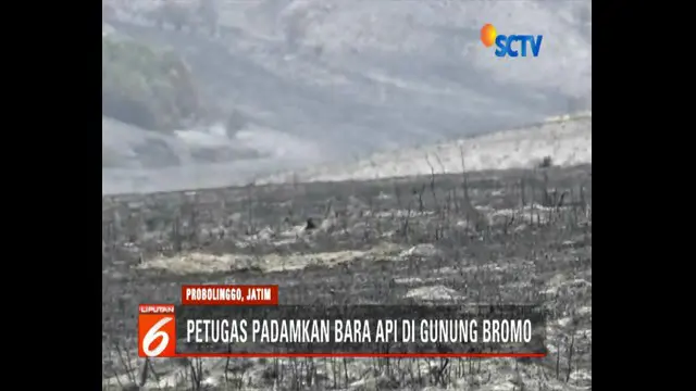 Banyak savana yang rusak dan berubah menjadi tandus akibat kebakaran di kawasan Gunung Bromo.