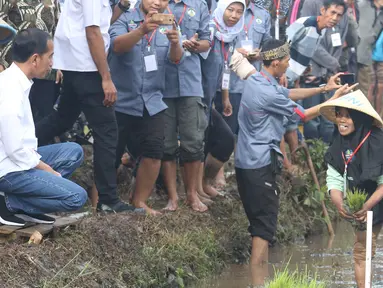 Presiden Joko Widodo berbincang dengan petani di pinggir sawah, di Desa Cisaat, Leuwigoong, Garut, Sabtu (19/1). Kunjungan tersebut untuk meninjau Gerakan Mengawal Musim Tanam Oktober-Maret 2017/2019dan Kewirausahaan Pertanian. (Liputan6.com/Angga Yuniar)