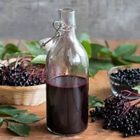 Khasiat buah Elderberry untuk menjaga imunitas tubuh (Foto: Shutterstock)
