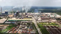 Regulasi Baru Karbon Kehutanan Jadi Angin Segar bagi Industri Pulp dan Kertas