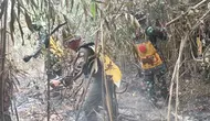 Taman Nasional Way Kambas Terbakar Lagi