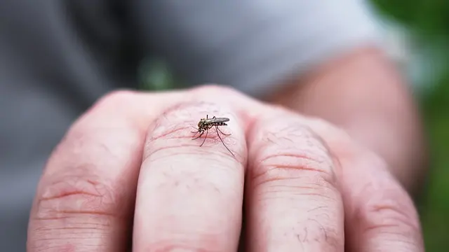 Gejala Virus Zika