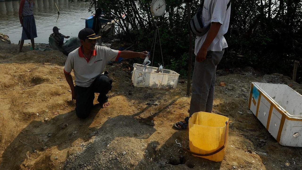 Nelayan menimbang hasil menangkap rajungan 4-5 kilogram seusai melaut di kampung nelayan Dadap, Tangerang, Selasa (08/08/2023).