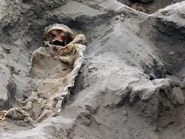 Gambar tak bertanggal memperlihatkan tulang belulang anak-anak yang ditemukan para arkeolog di Pampa La Cruz, sebuah kota pesisir Trujillo, Peru. Ditemukan sekitar 227 kerangka anak yang diduga menjadi korban ritual peradaban masa lampau tepatnya pada masa peradaban Chimu. (LUIS PUELL/ANDINA/AFP)
