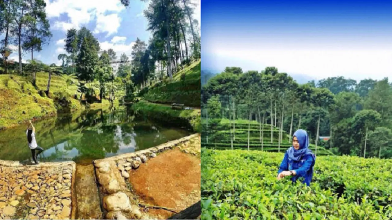 Wisata Pagilaran Batang