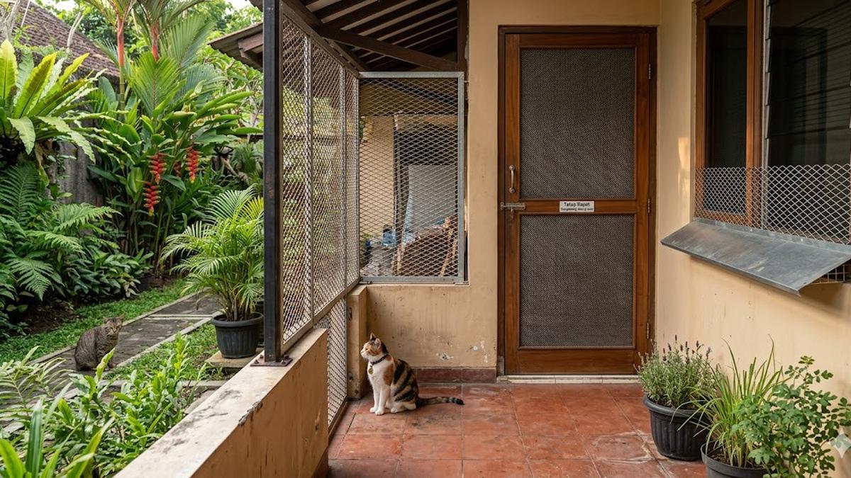 8 Cara Mengusir Kucing dari Kebun Tanpa Menyakiti, Tetap Efektif dan Humanis