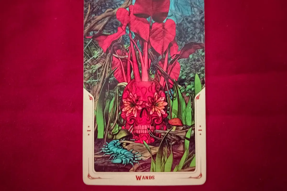 tarot