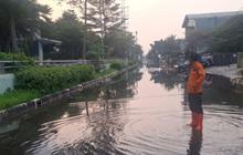 BPBD DKI Beri Peringatan Banjir Rob 8-15 Oktober 2025, ini Wilayah di Jakarta Berpotensi Terdampak