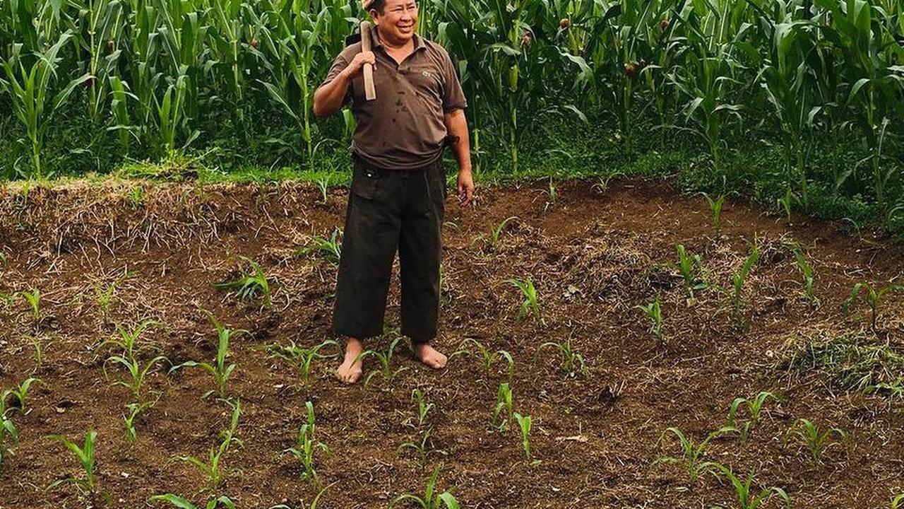 Memilih jadi petani adalah pilihan seorang pensiunan jenderal bintang tiga Polri, Komjen Pol (Purn.) Susno Duadji.