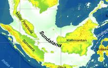 Ribuan Fosil Manusia 'Sundaland' Baru Ditemukan di Selat Madura, Ketahui Sejarahnya