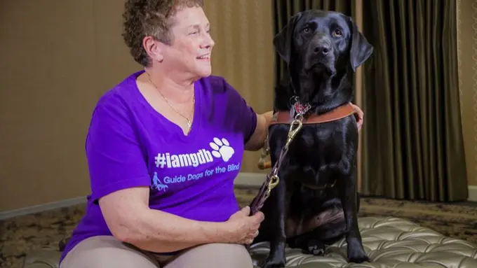 Dorainne dan anjing pemandunya, Dime