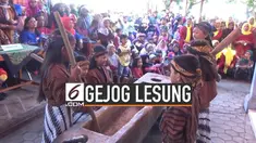 Berbagai cara masih terus dilakukan untuk melestarikan kesenian tradisional gejog lesung atau seni menumbuk padi pada zaman dahulu. Salah satunya dengan menggelar festival gejog lesung, seperti yang dilakukan di Klaten, Jawa Tengah.