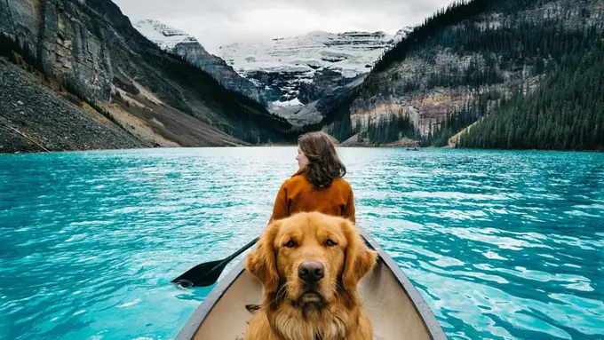 'Traveling' ke Kanada, Anjing Ini Curi Perhatian di Instagram