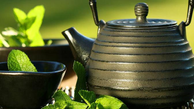  Resep  Obat  Maag Tradisional  Yang Paling Ampuh 11 