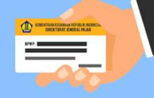 Panduan Lengkap Daftar NPWP Online 2025 Via Coretax dan Ereg, Lengkap dengan Syarat Dokumen
