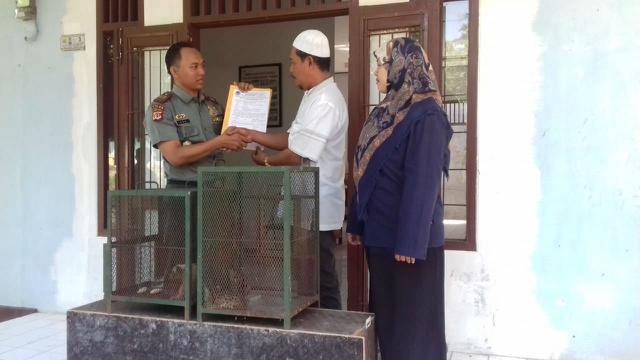 Cerita Petugas BKSDA Jabar Evakuasi Kukang Hingga Buaya Muara Temuan Warga Pantura
