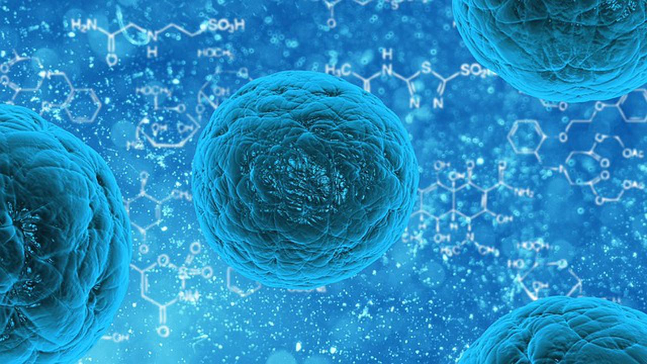 Stem Cell Bisa Atasi Radang Sendi