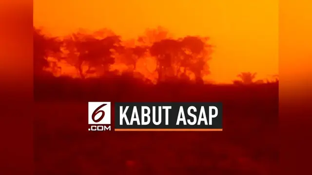 Langit di Jambi menjadi merah. Peristiwa langit merah di Jambi terjadi sejak Sabtu (21/9/2019) pagi dan warna semakin merah pada sore hari.