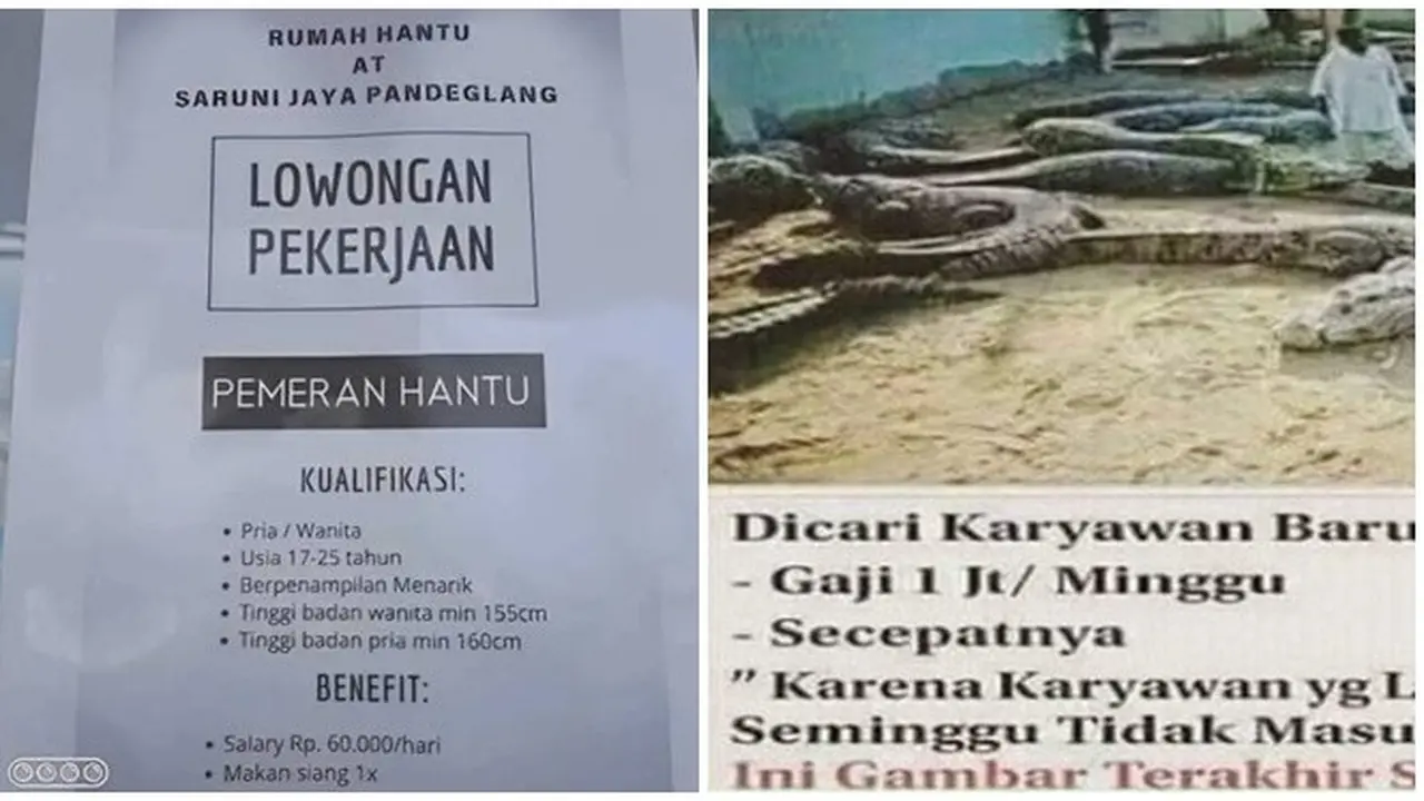 6 Lowongan Pekerjaan Uji Nyali Ini Nyeleneh, Mikir Dua Kali Sebelum Melamar