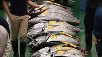 Aktivitas pelelangan ikan tuna pertama di pasar ikan Toyosu yang baru, pada hari pertama pembukaan di Tokyo, Kamis (11/9). Pasar ikan Toyosu menggantikan pasar ikan legendaris yang sudah mendunia, Pasar Tsukiji. (Toshifumi KITAMURA/AFP)
