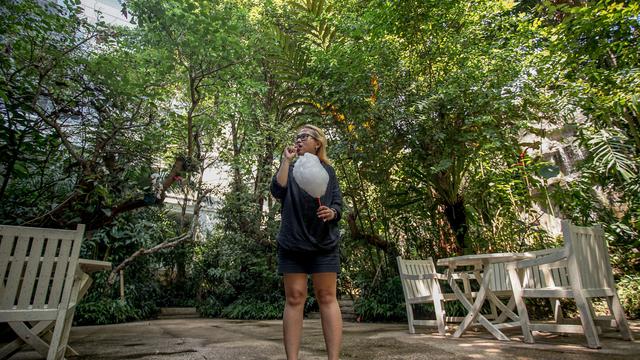 The Papandayan Hotel