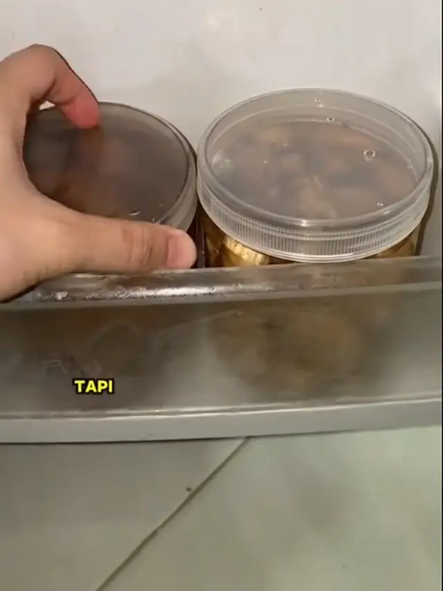 Jangan Dibekukan, Begini Cara Agar Jahe dan Kunyit Tetap Awet Segar Selama Sebulan