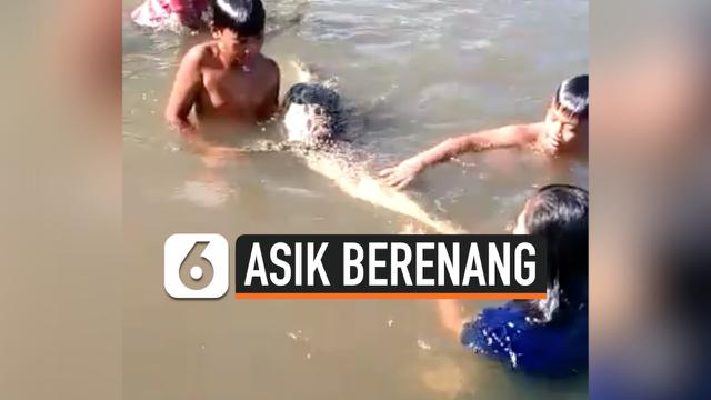 Berita Berenang Hari Ini Kabar Terbaru Terkini Liputan6 Com